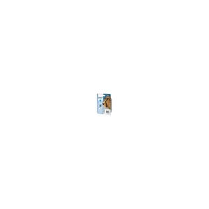 Cartuchos Epson DURABrite Ultra T071 (Serie Guepardo)